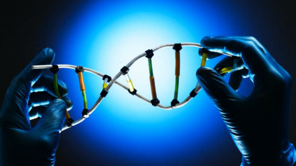 Tarea Cultura Científica 1ºBachillerato CT sobre la revolución genética